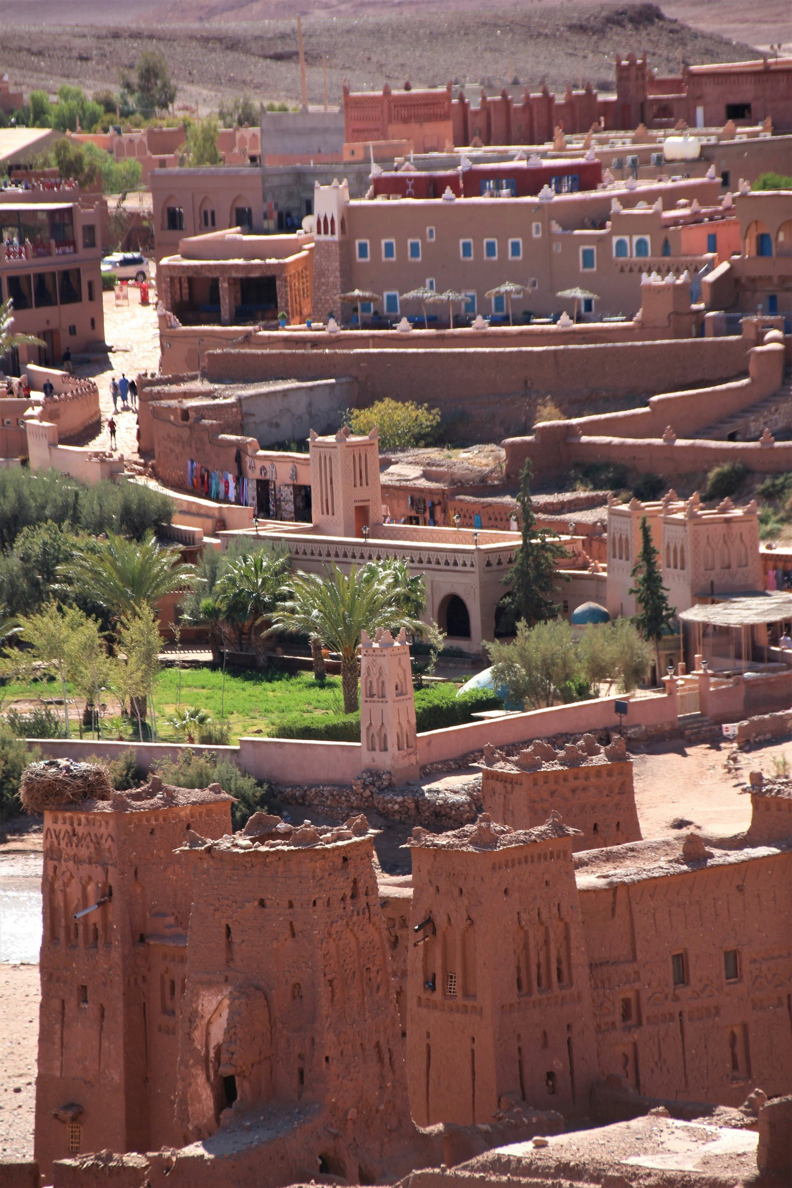 Morocco Rose Valley Dades in spring — fragrant rose fields and palm oasis
