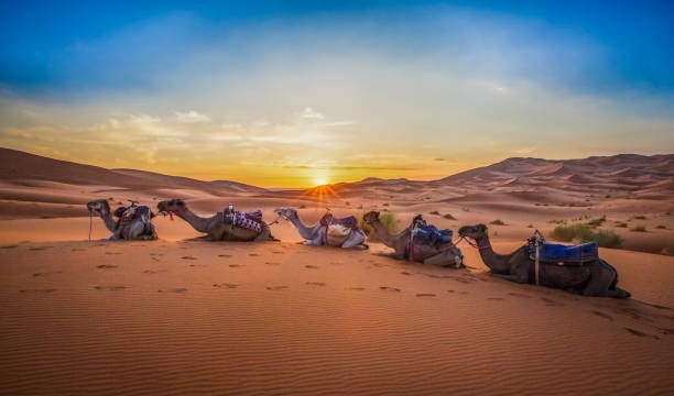 4-day Sahara desert tour from Marrakech — Ait Benhaddou UNESCO, Todra Gorges and Erg Chebbi luxury desert camp